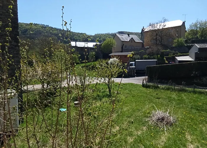 Familial Du Moulin D'auxillac - דירה *